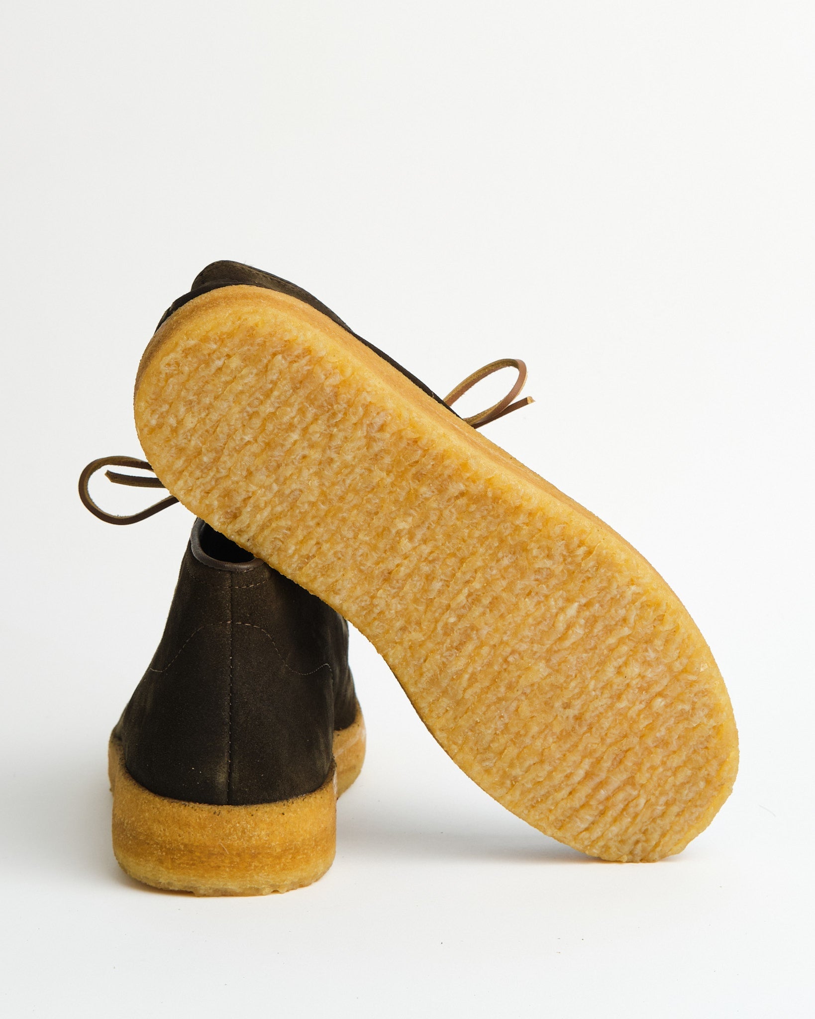 ラズ24cm _MG_3308__40404.1716547238.jpg