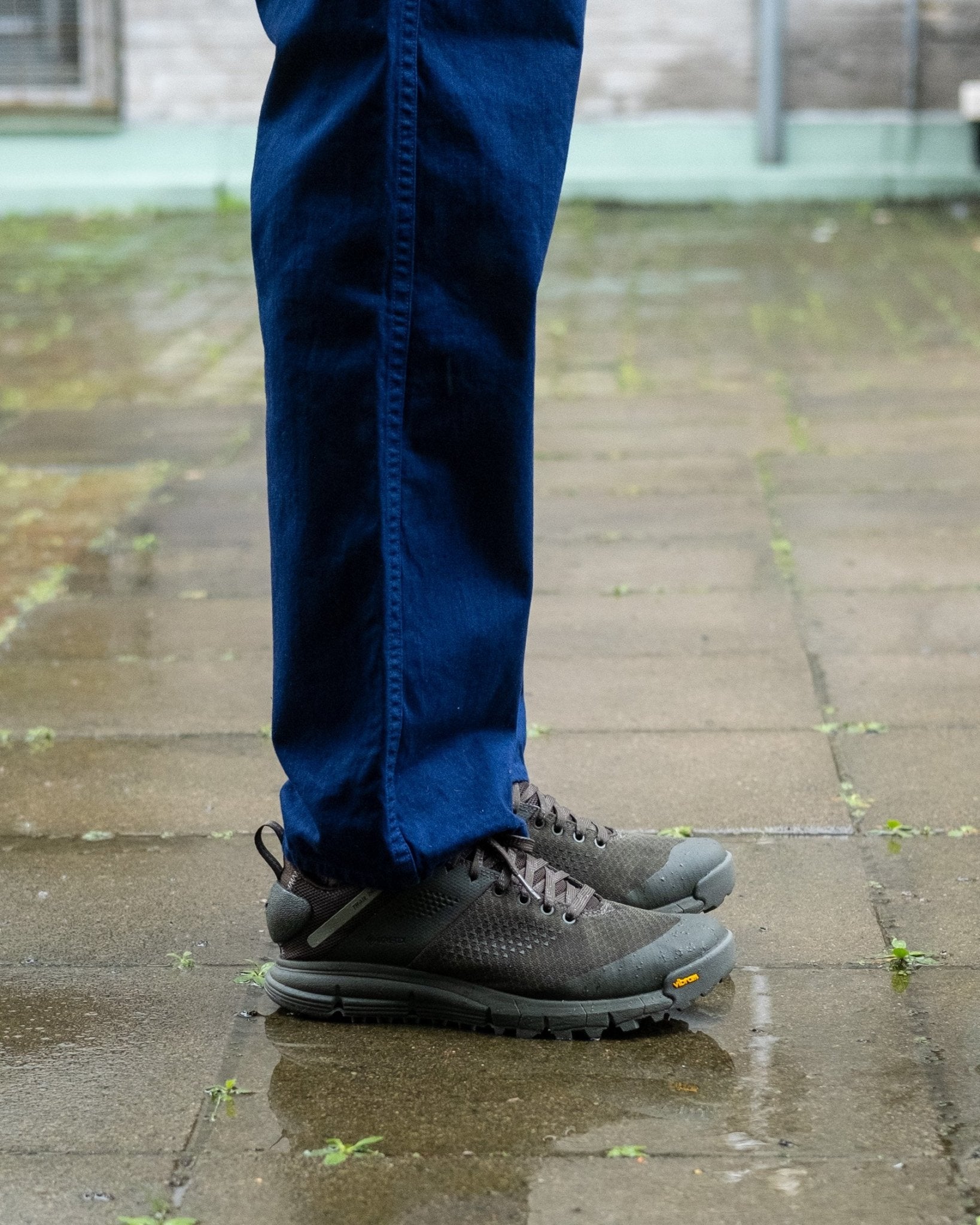 Trail 2650 Mesh GTX Forest Night by Danner - Meadow
